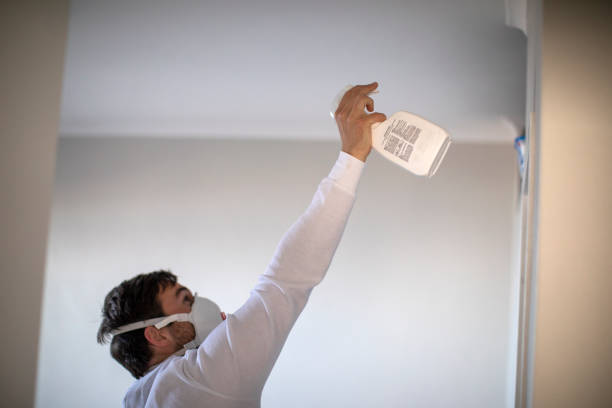 Best Mold Remediation  in North Augusta, SC