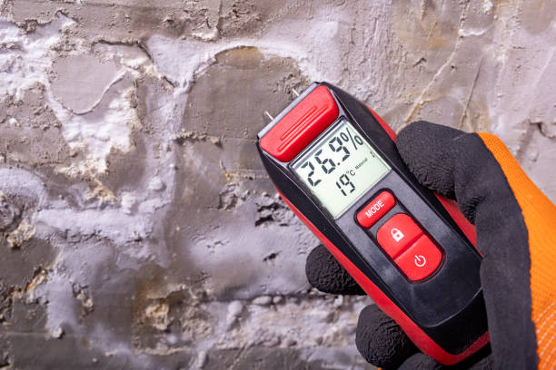 Best Affordable Mold Removal  in North Augusta, SC