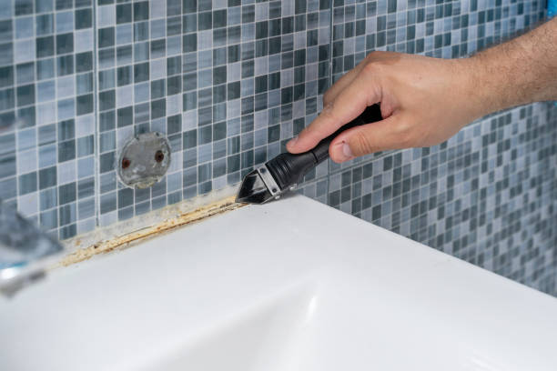 Best Toxic Mold Removal  in North Augusta, SC